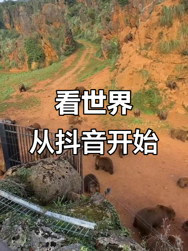 像抖音一样的看A的软件探索新奇世界，像抖音一样的看A的软件-第1张图片