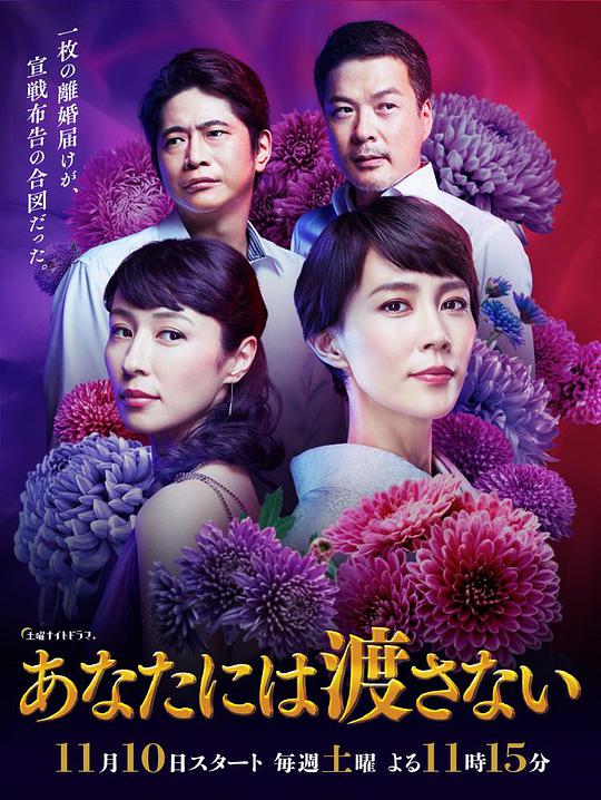 中文字幕在线高清52012年高清电影中文字幕在线观看体验-第2张图片