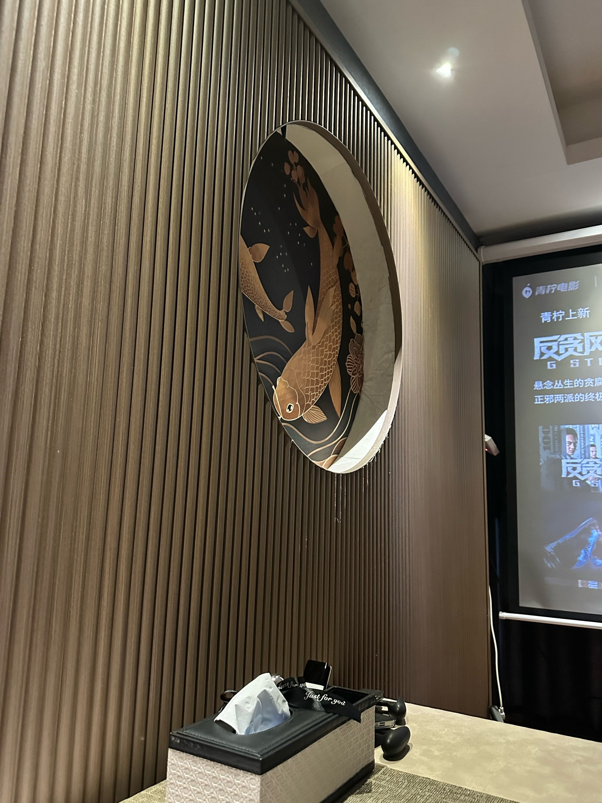 EEUSS影院免费观影体验，享受电影的乐趣-第3张图片