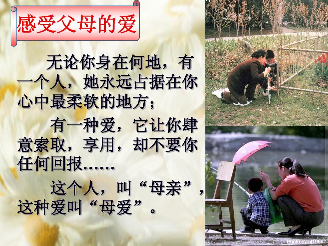 JAPONENSISJAVA老师分类的探索与理解-第2张图片
