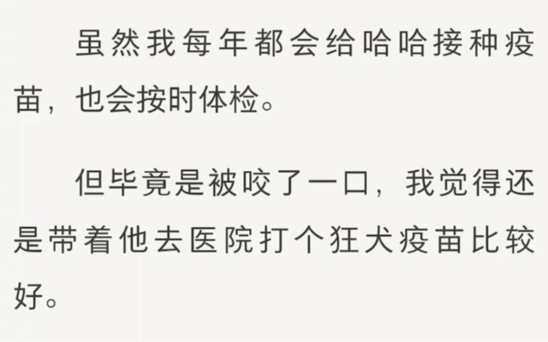 通感玩具与双男主的奇幻之旅