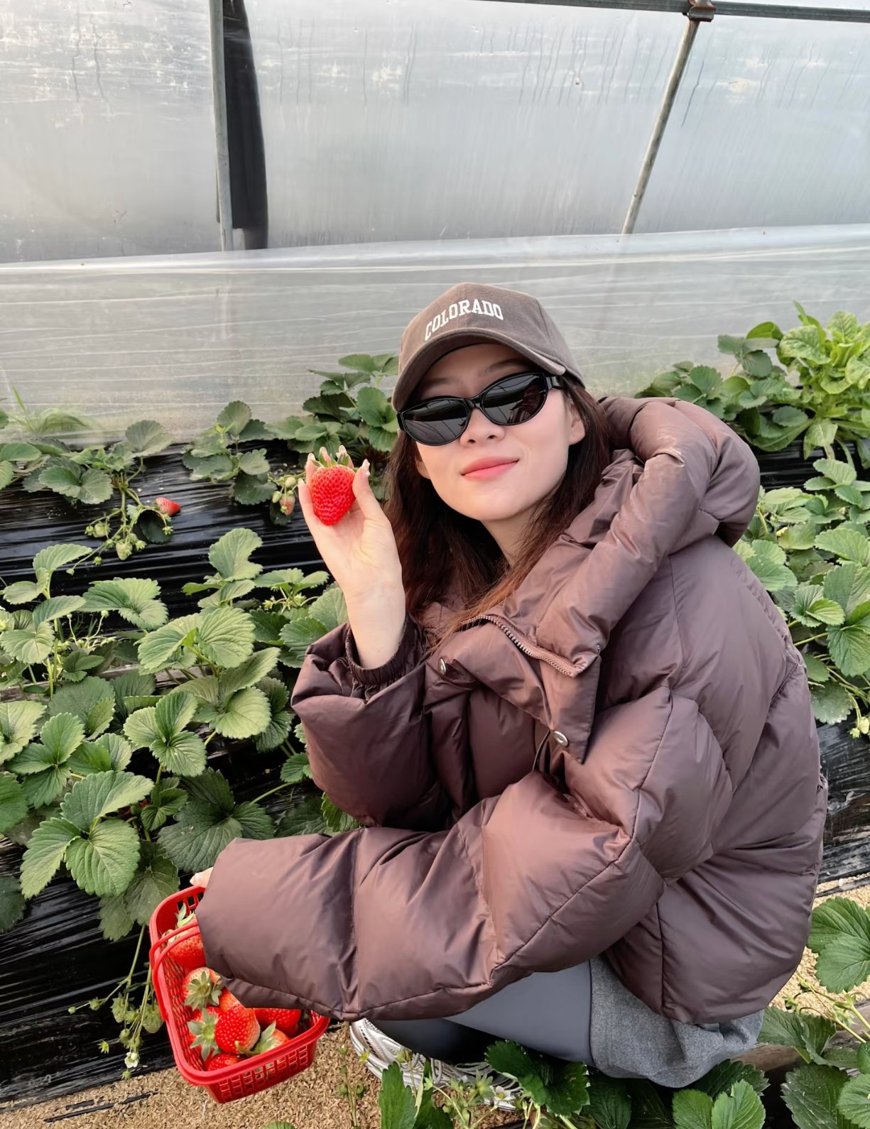 草莓视频在线观看版官方草莓视频在线观看版官方——畅享高清影视，尽享精彩瞬间-第3张图片