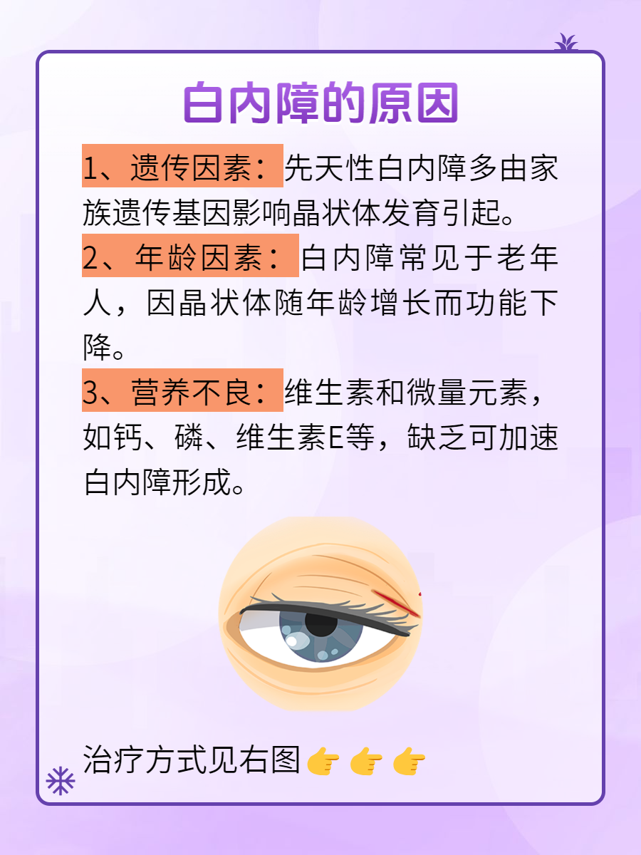 老年人性网址，理解与正确使用