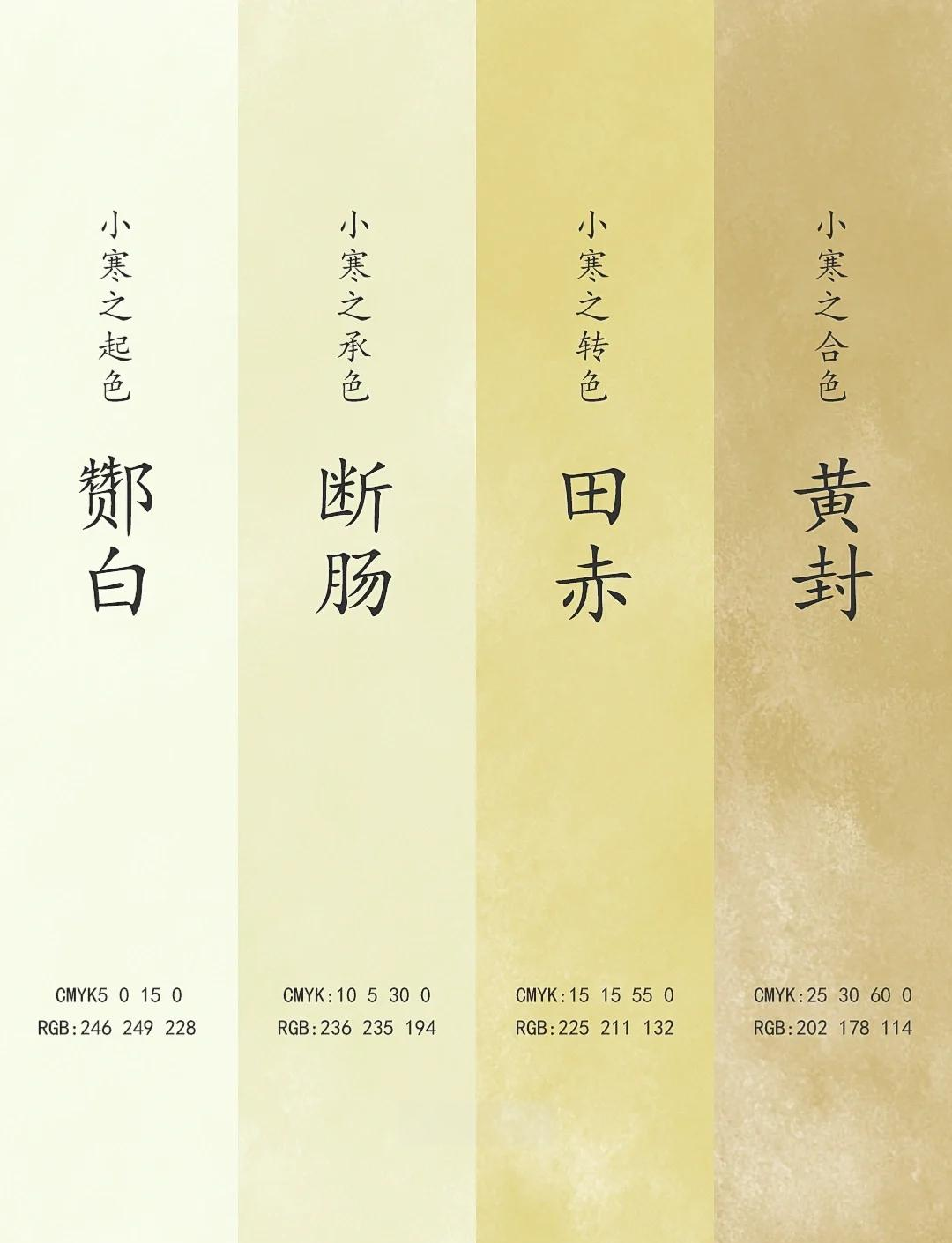 色中色中文论坛，网络交流的色彩世界