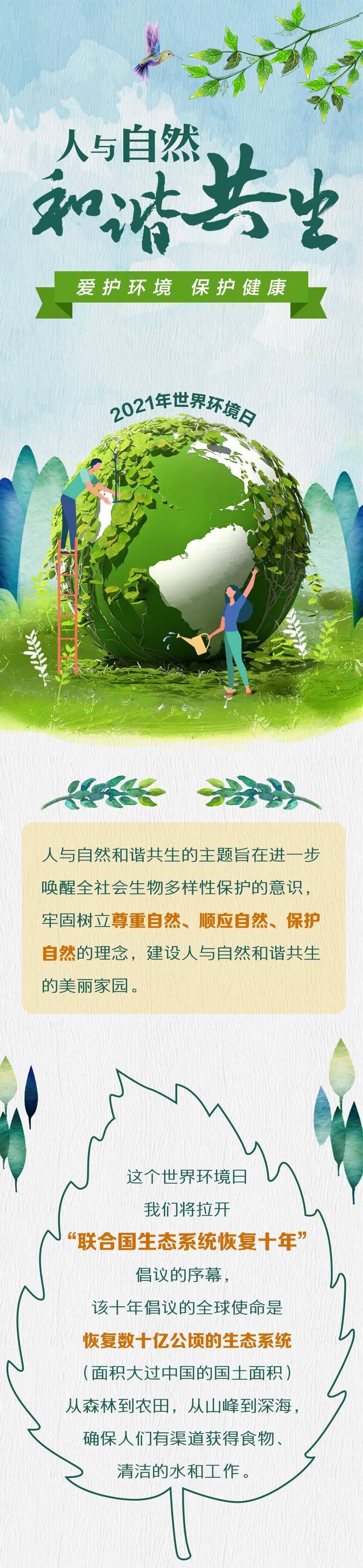 警惕成人色色网，保护网络环境与个人健康