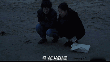爱兽交爱与兽交，一种特殊的情感交流-第2张图片