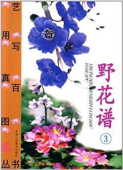 野花社区在线观看免费观看最新3中文字幕1野花社区在线观看免费资源分享-第1张图片