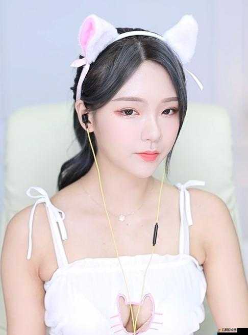 绿巨人下载汅api免费破解版绿巨人下载汅API免费破解版，风险与后果的深度解析