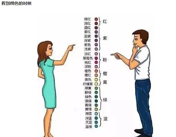 男生与女生差异的探索与理解——免费软件下载指南-第2张图片