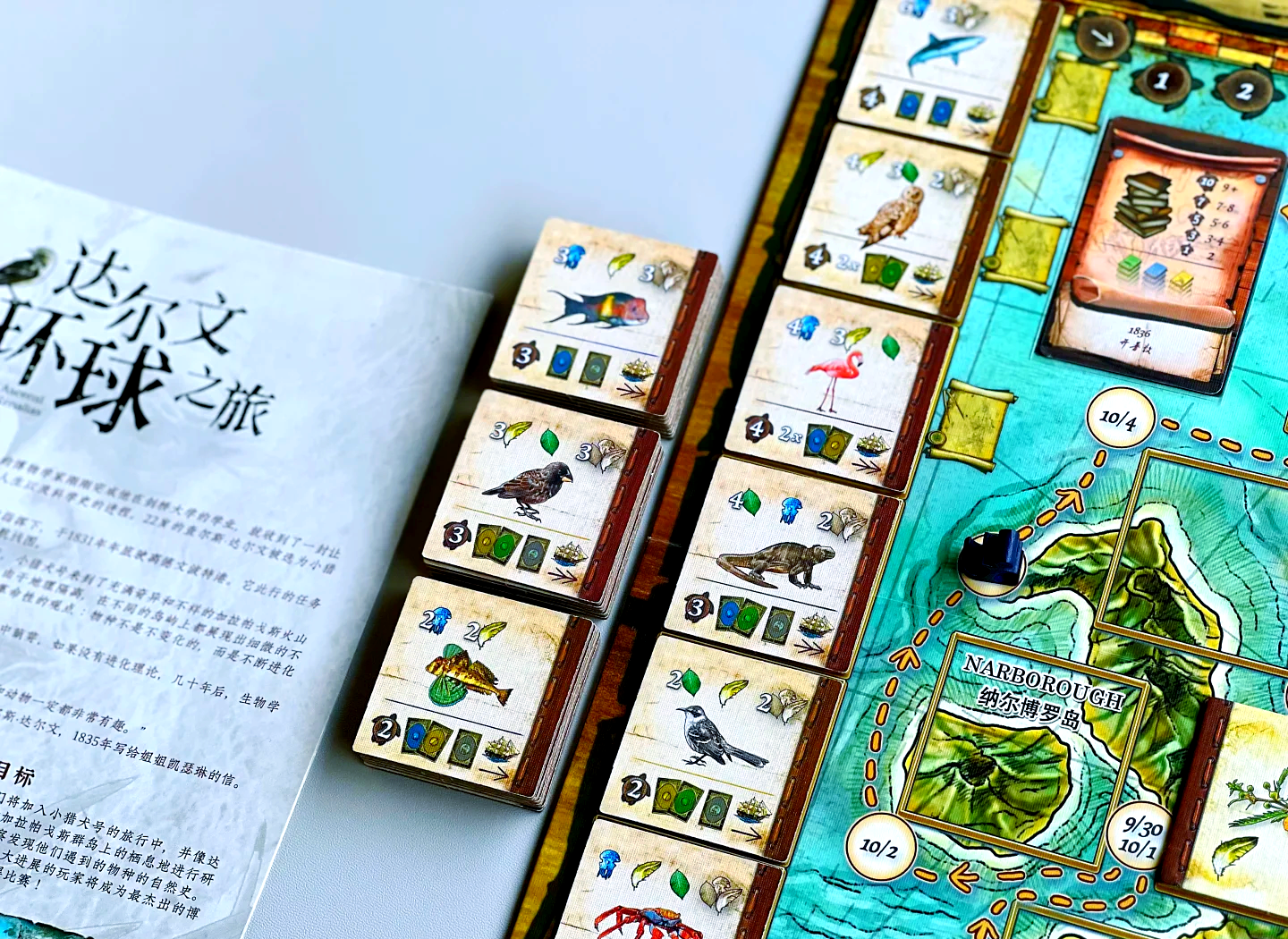达尔文进化岛攻略，探索与生存的完美指南-第2张图片
