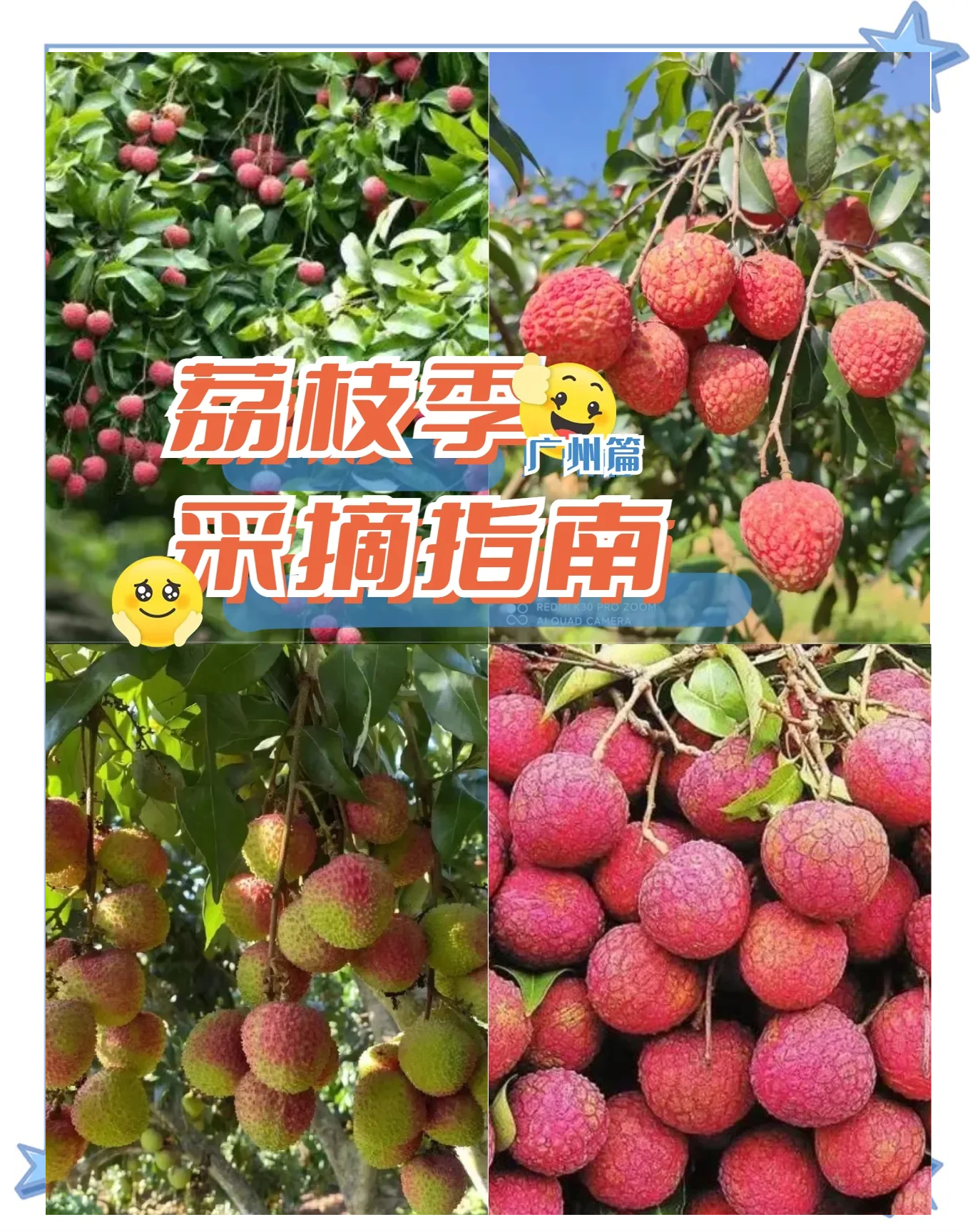 荔枝视频在线观看荔枝视频在线观看，便捷的观影体验与无限可能-第1张图片