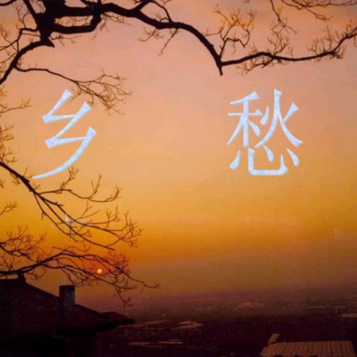 我在柔情截了一段小视频我在柔情中截取的小视频