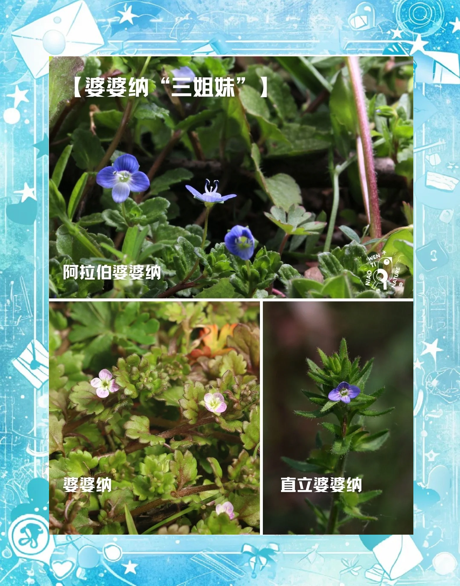 野花视频免费播放在线观看www野花视频免费播放在线观看的探索与体验-第2张图片