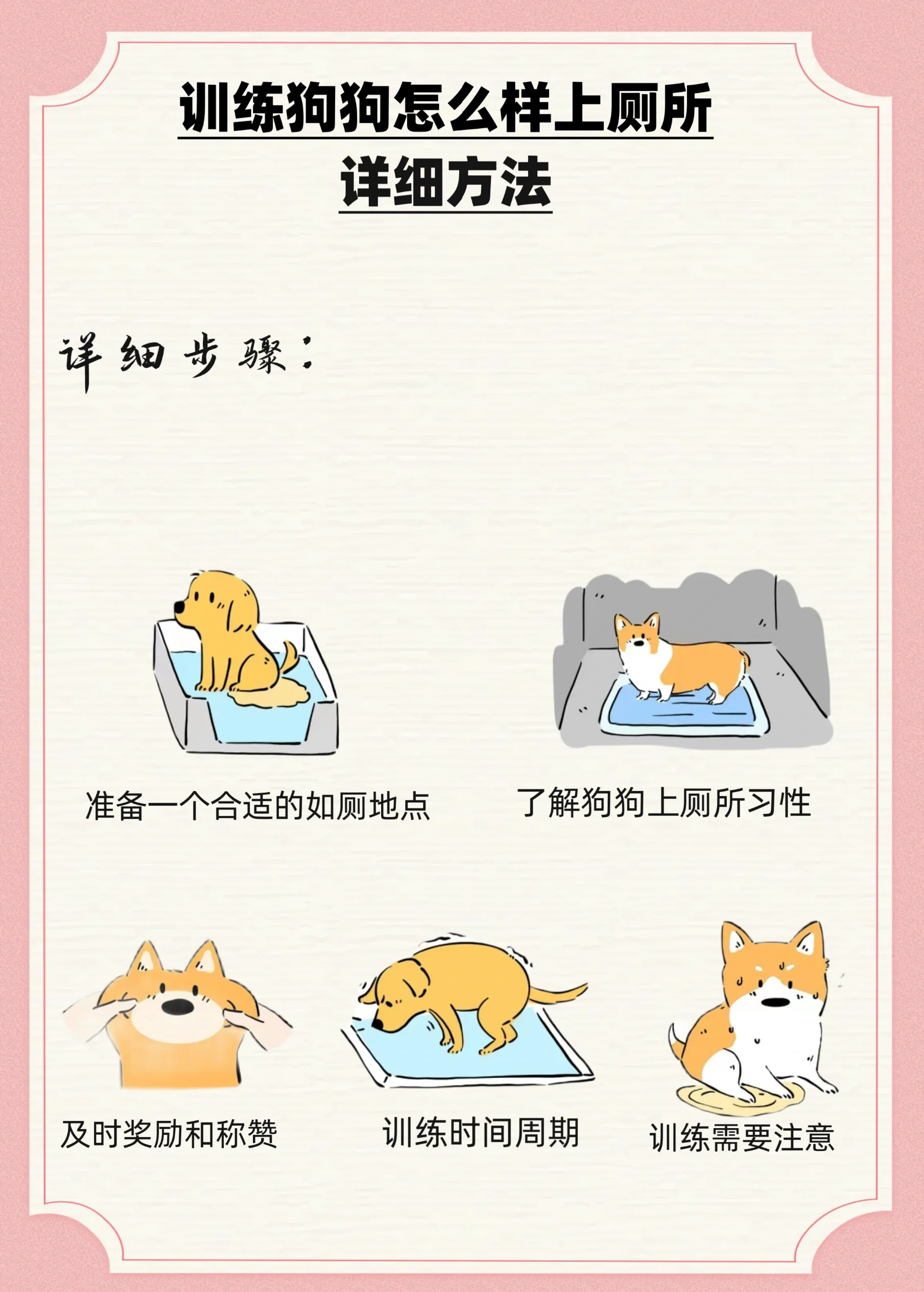 怎么训练让狗过来如何训练狗狗主动接近你