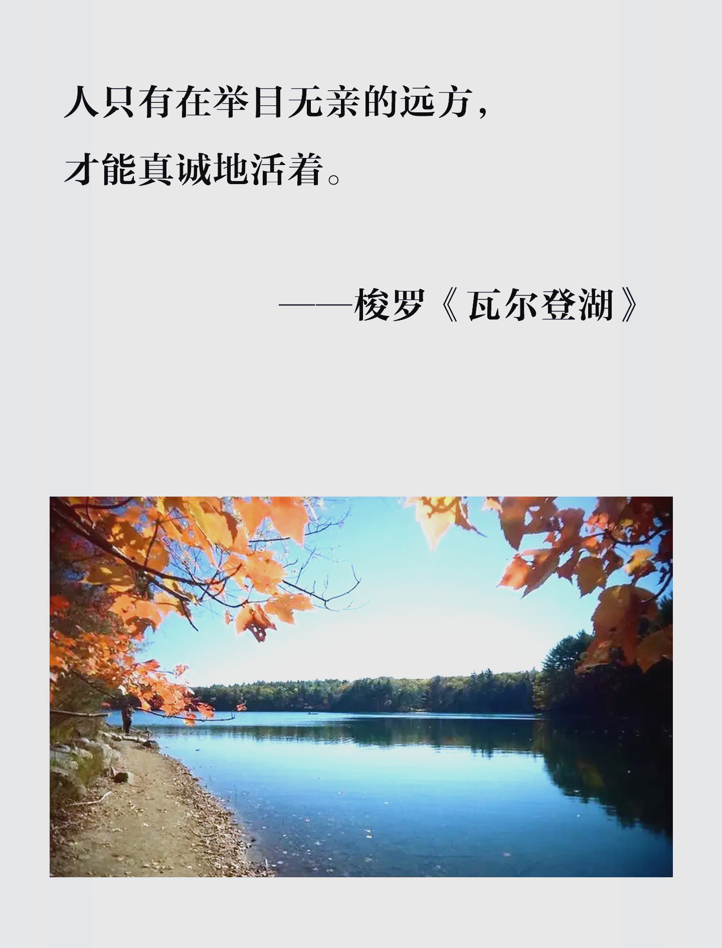 大学深刻的一次性经历是什么大学中深刻的一次性经历-第3张图片