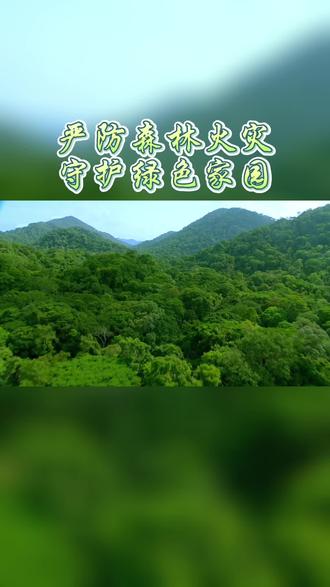 18款禁用网页app葫芦娃与网络健康，远离不良信息，守护绿色网络-第3张图片
