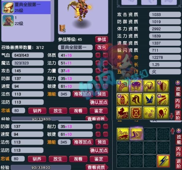 梦幻西游，神龙宝宝的奇妙之旅-第1张图片