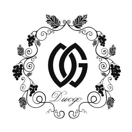 DG设计师辱华DG设计师辱华事件，反思与启示-第2张图片