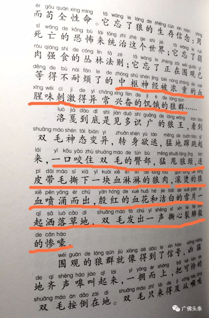 色情文学的危害与防范-第2张图片