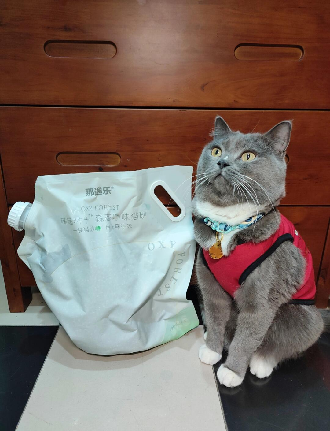 新版猫咪猫咪必火官网3.0新版猫咪猫咪必火官网，打造宠物爱好者的互动乐园-第2张图片