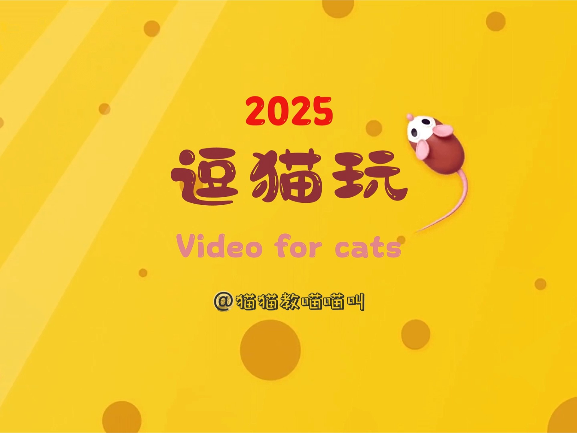 新版猫咪猫咪必火官网3.0新版猫咪猫咪必火官网，打造宠物爱好者的互动乐园
