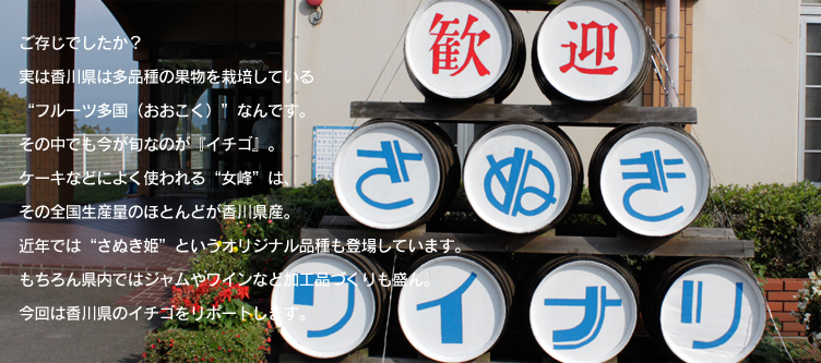 あんてきぬすっ中文播放探索おっぱいハート的魅力——中文在线的体验