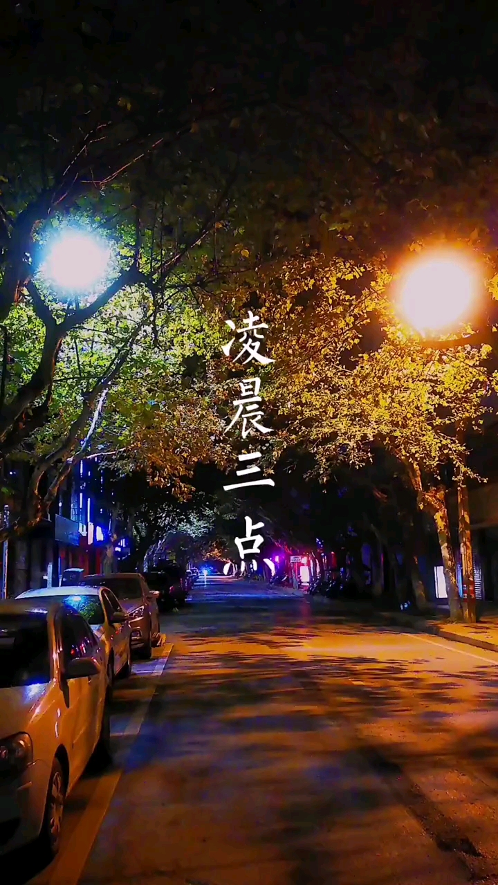 凌晨三点，完整版在线观看的深度解析