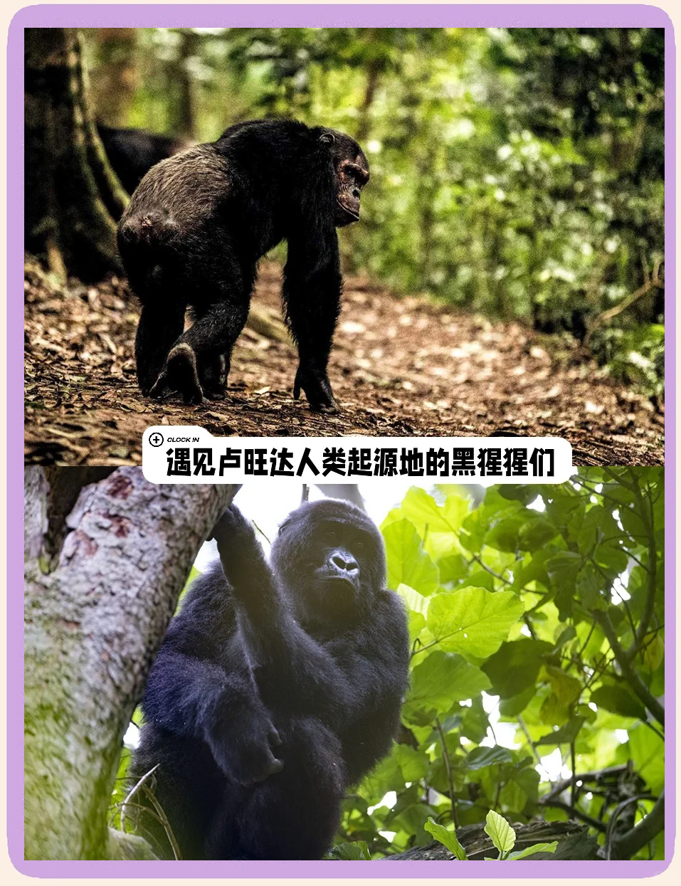 探索天堂官网在线资源网的奇妙世界-第1张图片