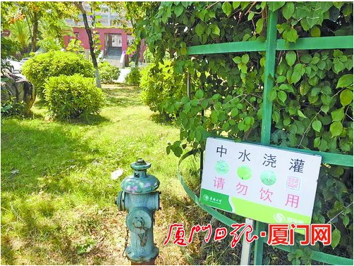 绿色q播绿色Q播，引领绿色网络新风尚-第1张图片
