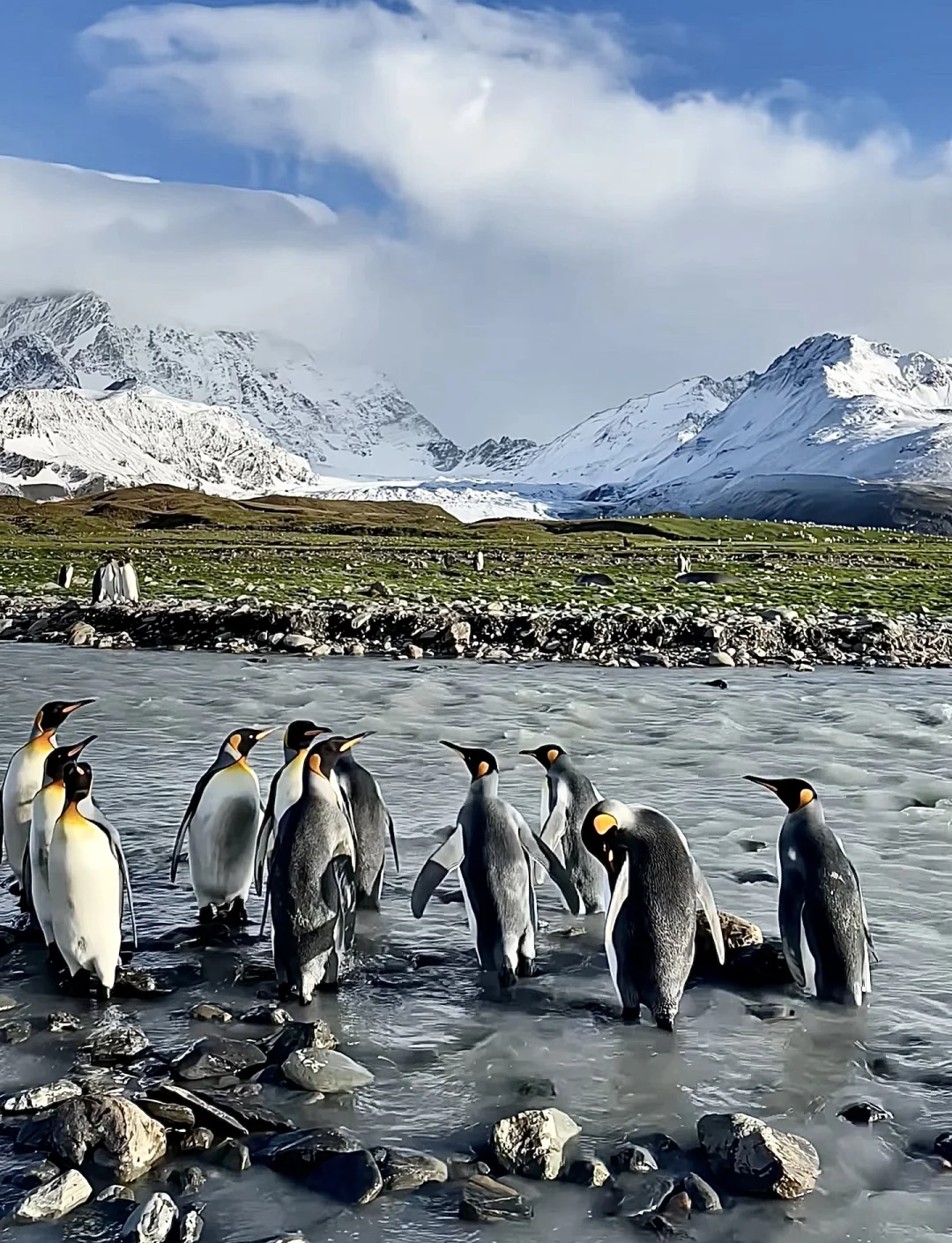 企鹅大陆Penguin Land企鹅大陆，神秘而独特的自然奇观-第1张图片