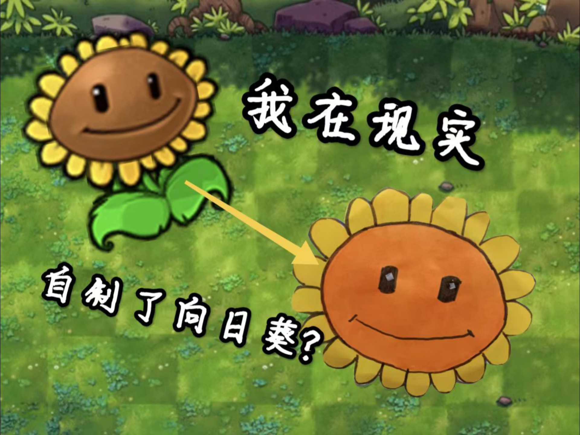 向日葵视视频无限看ios探索向日葵视频与丝瓜ios免费大全，无限观影新体验-第1张图片