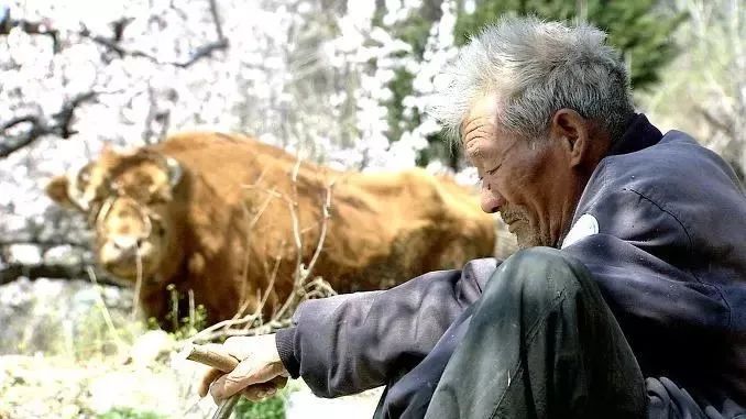 我被几十个老头玩弄了我的经历，与众多长者的一次独特互动-第1张图片