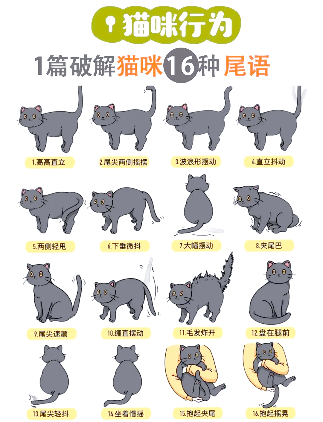 喵咪最新破解版apk喵咪最新破解版apk的全面解析