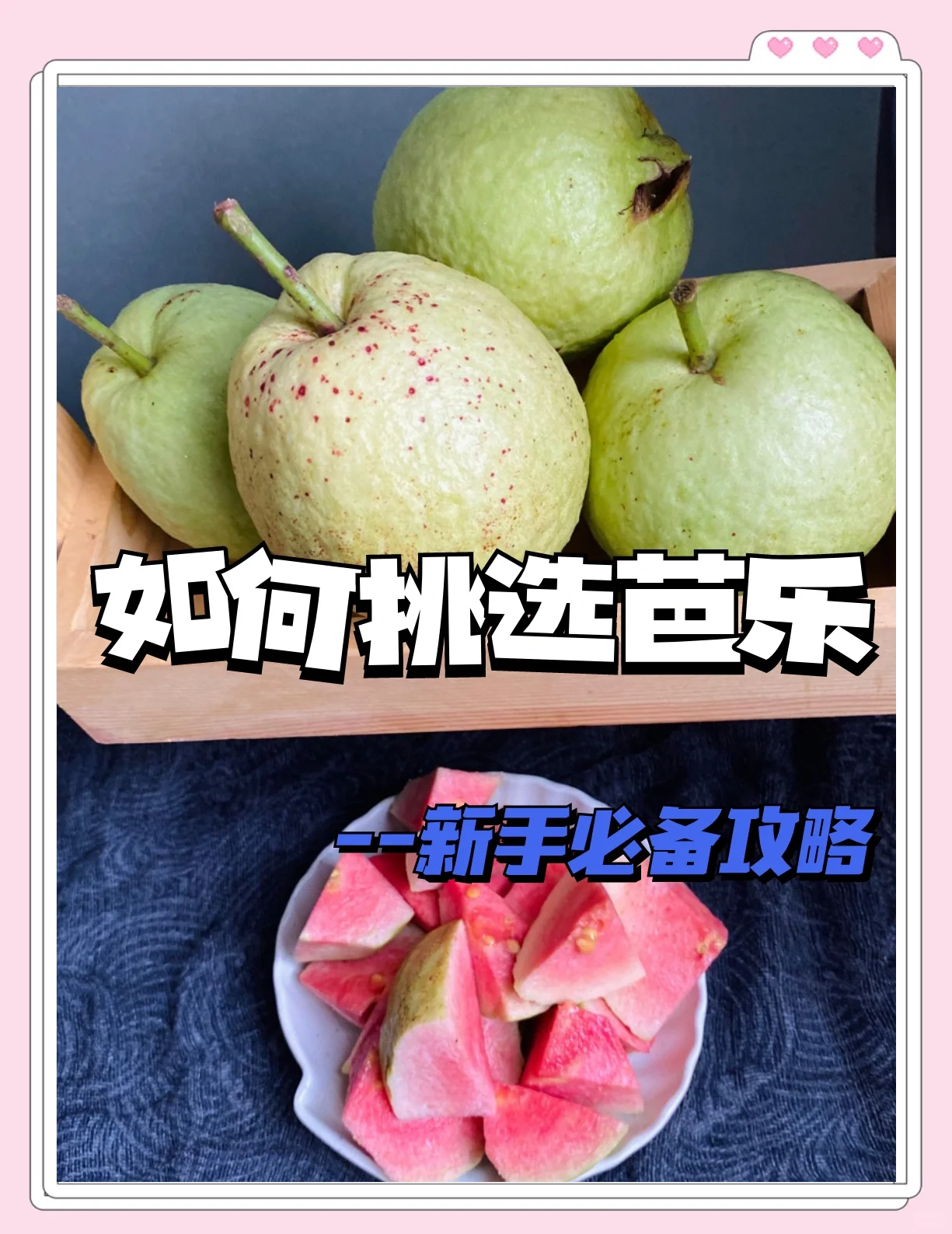 芭乐app官方下载网址进入18芭乐APP官方下载及使用指南-第2张图片