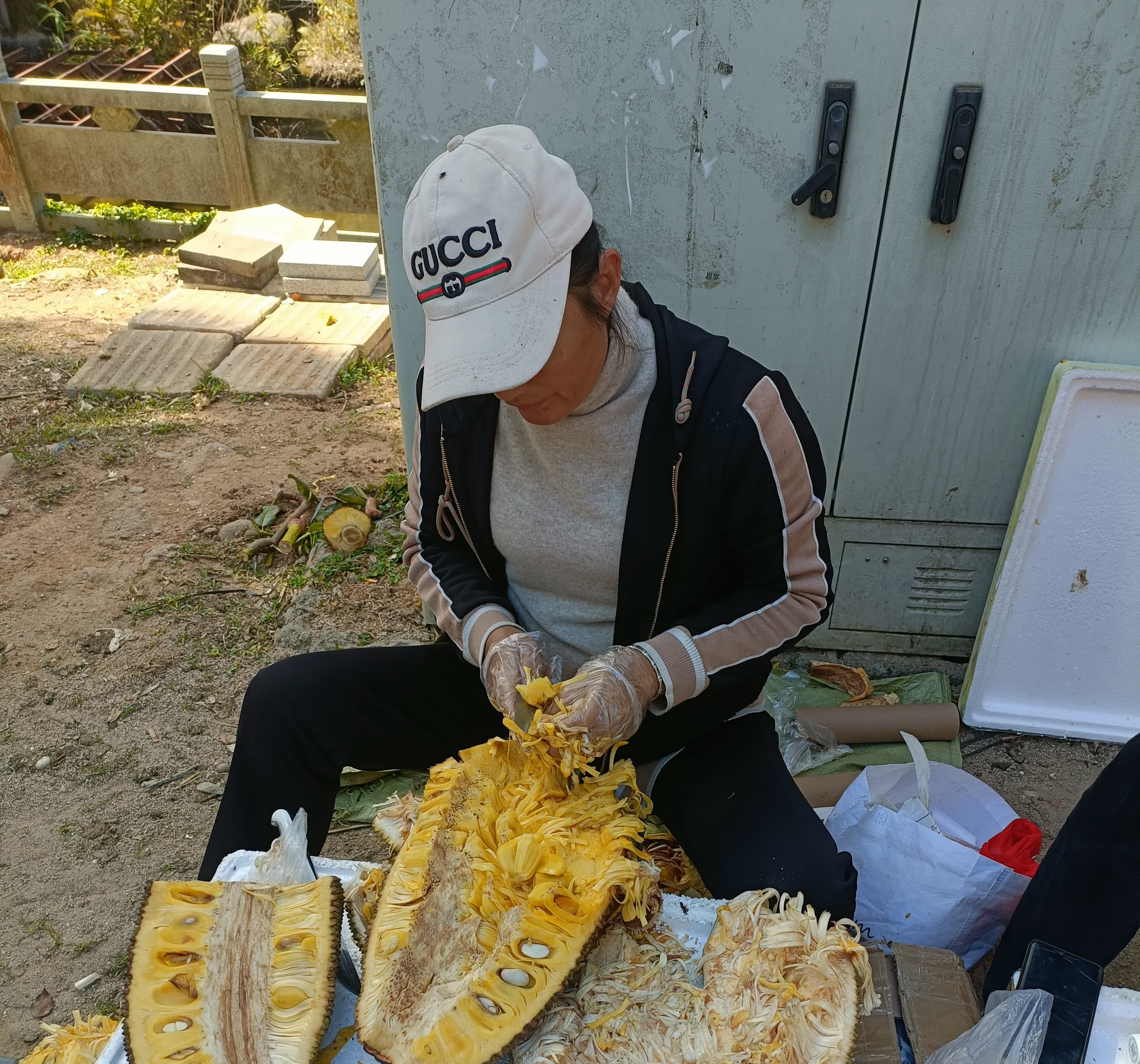 菠萝蜜进口路线区二1688菠萝蜜进口路线区二1688的探索与解析