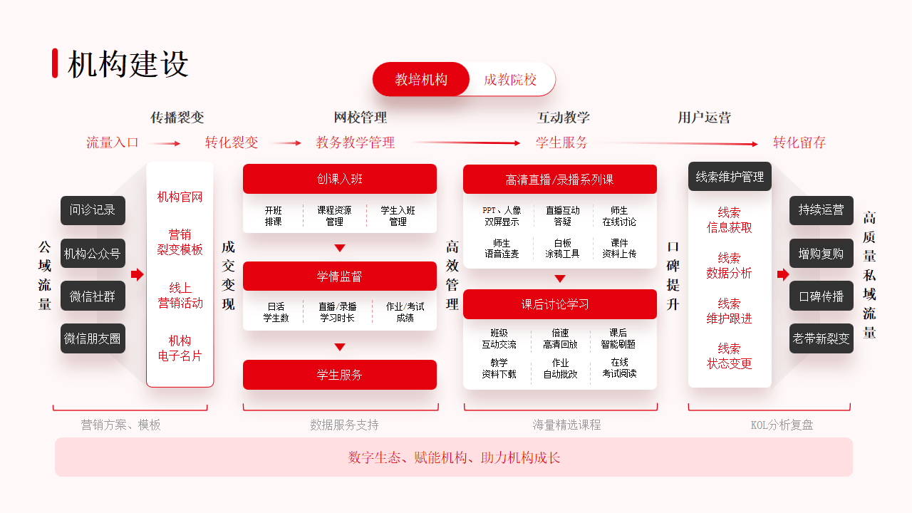 绽放网，引领数字时代的新篇章-第1张图片