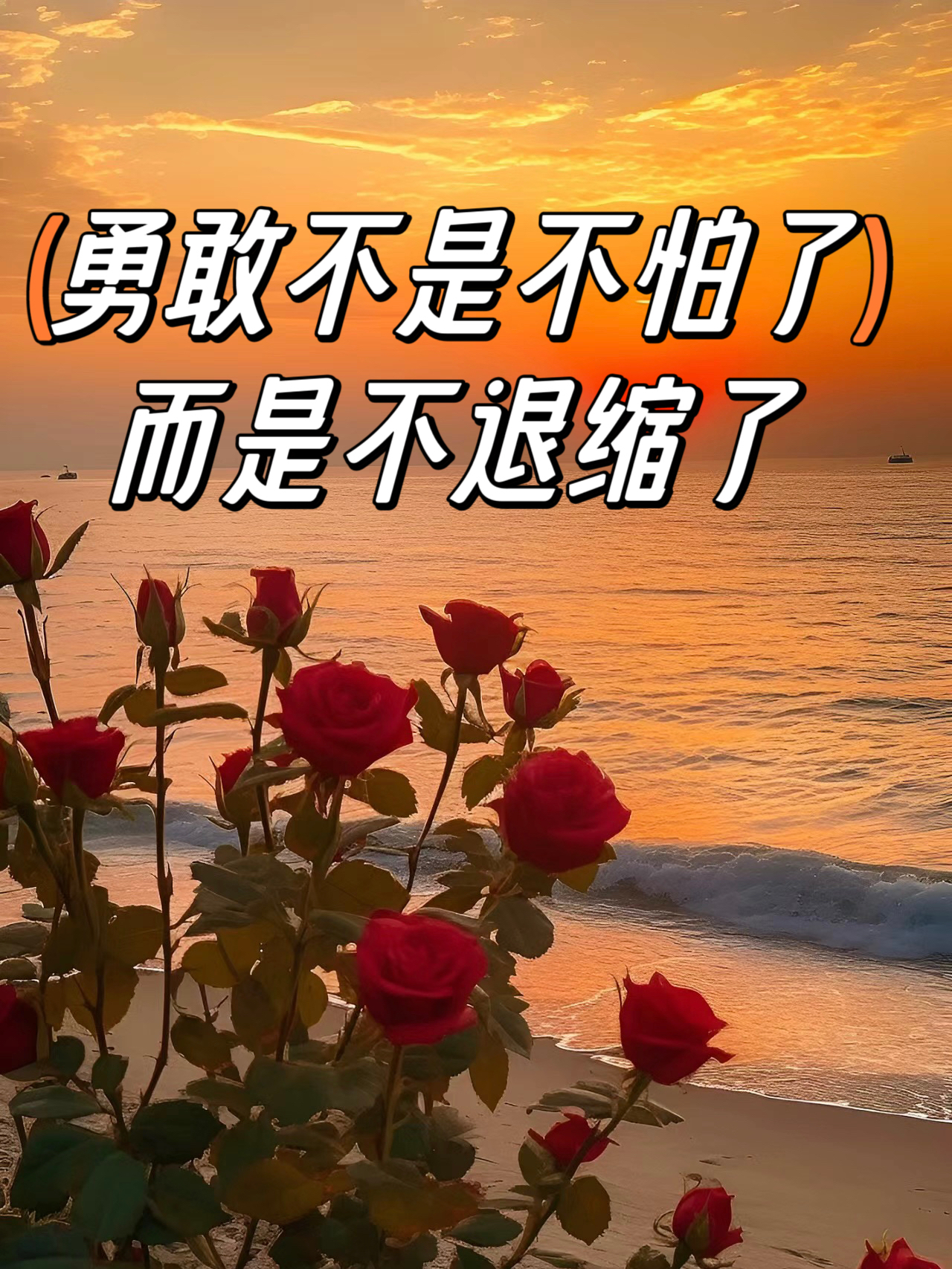 火影正能量网站，照亮心灵的阳光之角