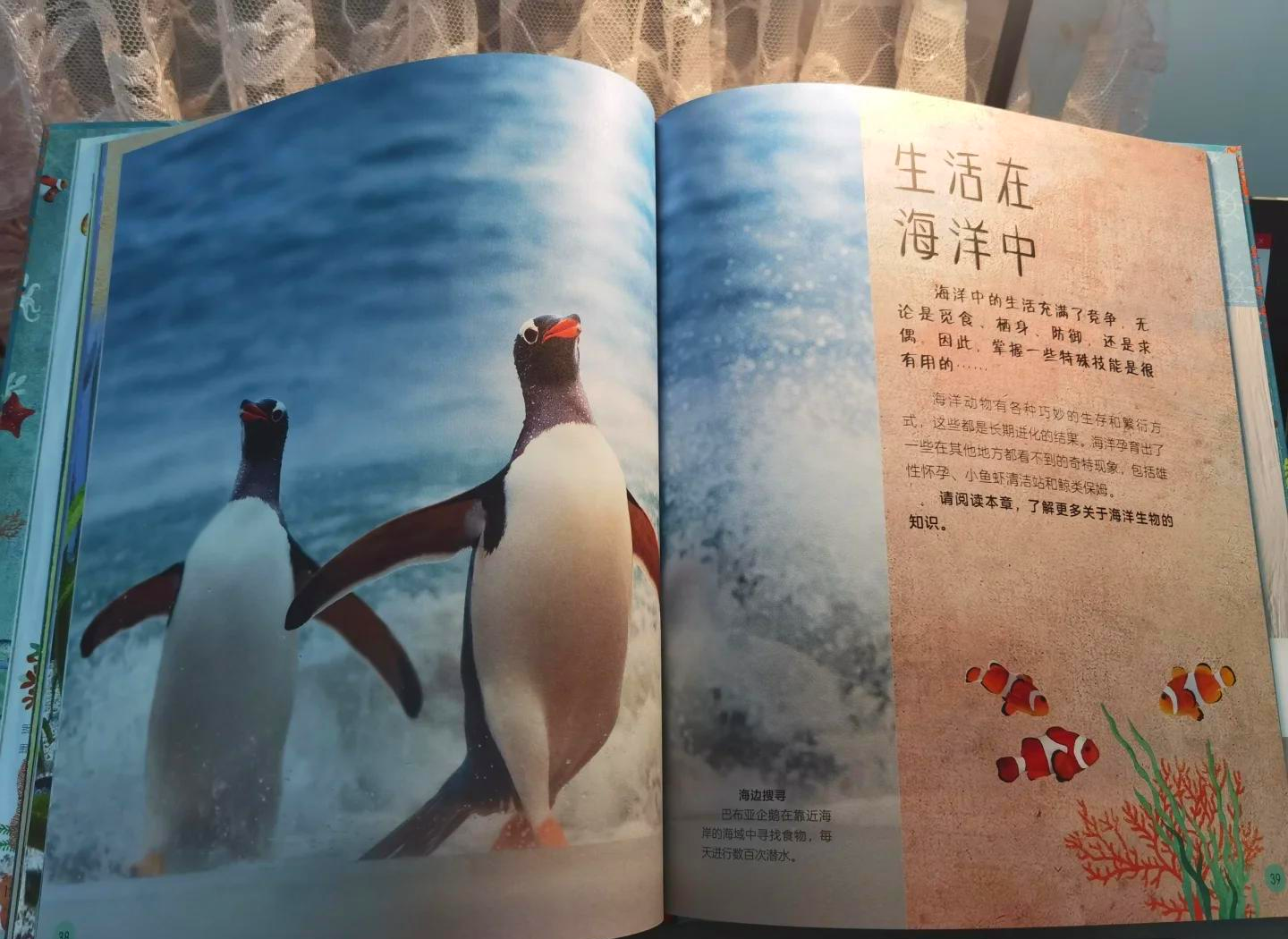 探索神秘而多彩的沟沟色-第2张图片