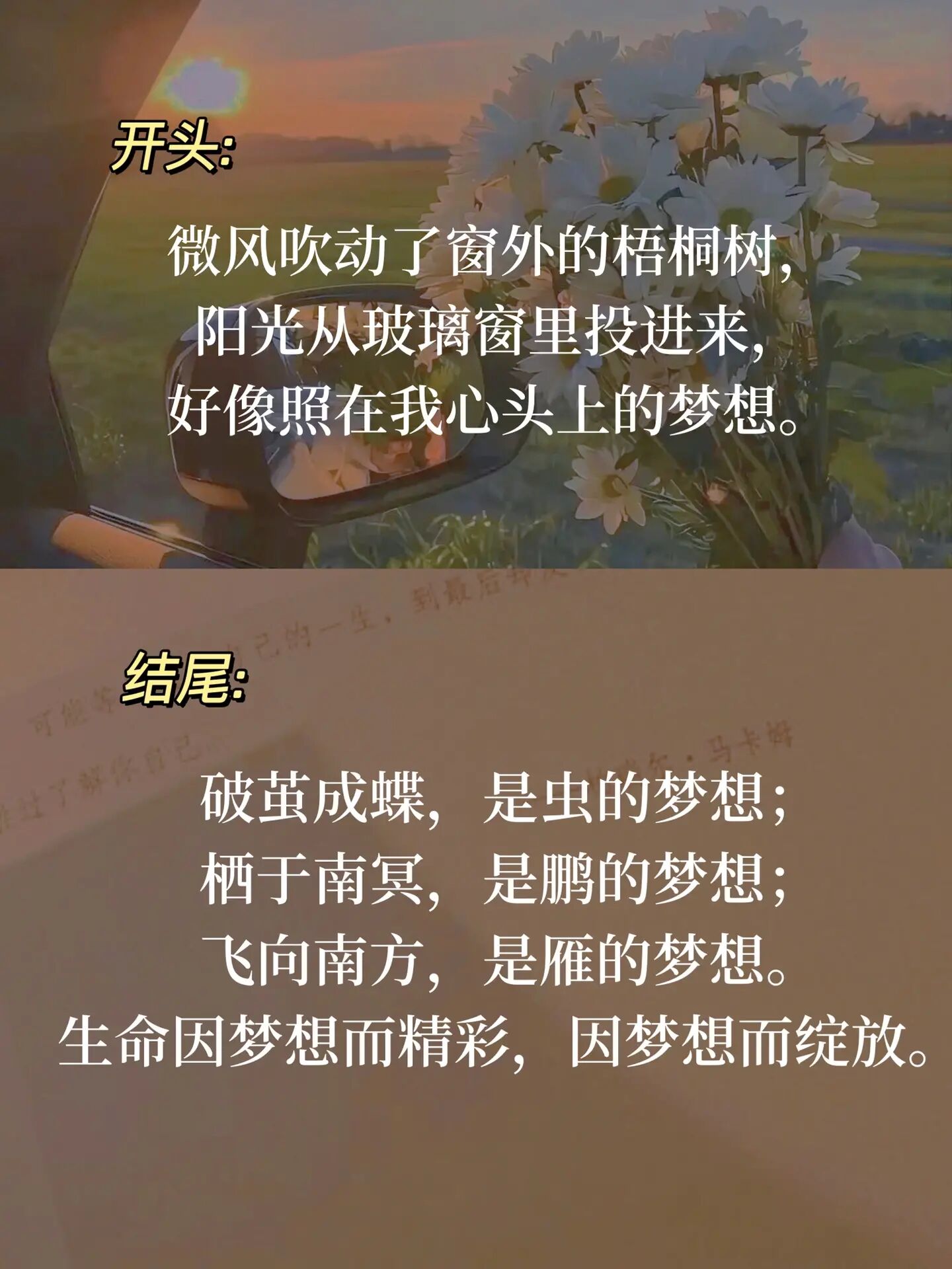 精彩网址，探索网络世界的宝藏
