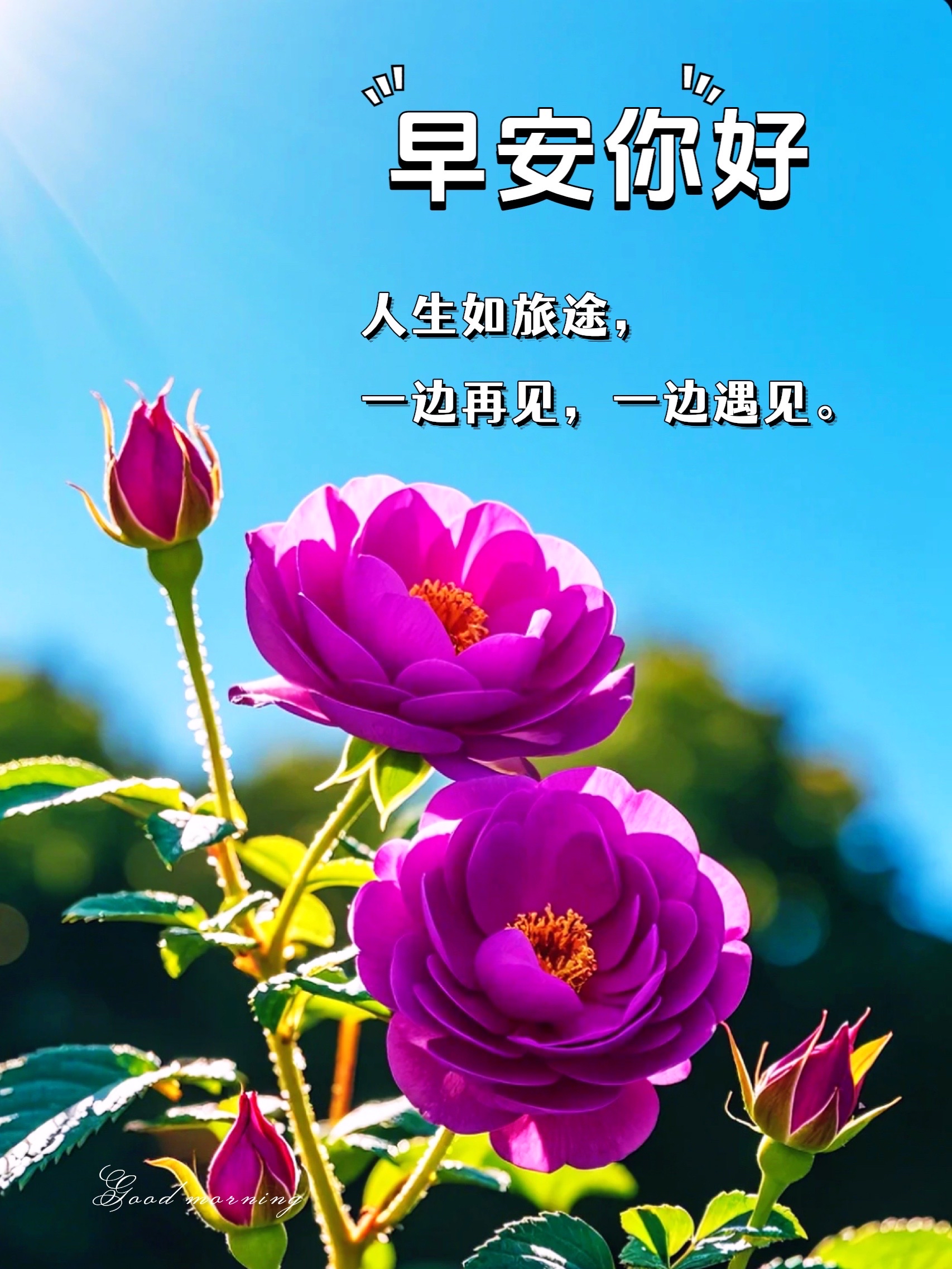 每天一点新，生活充满无限可能-第2张图片