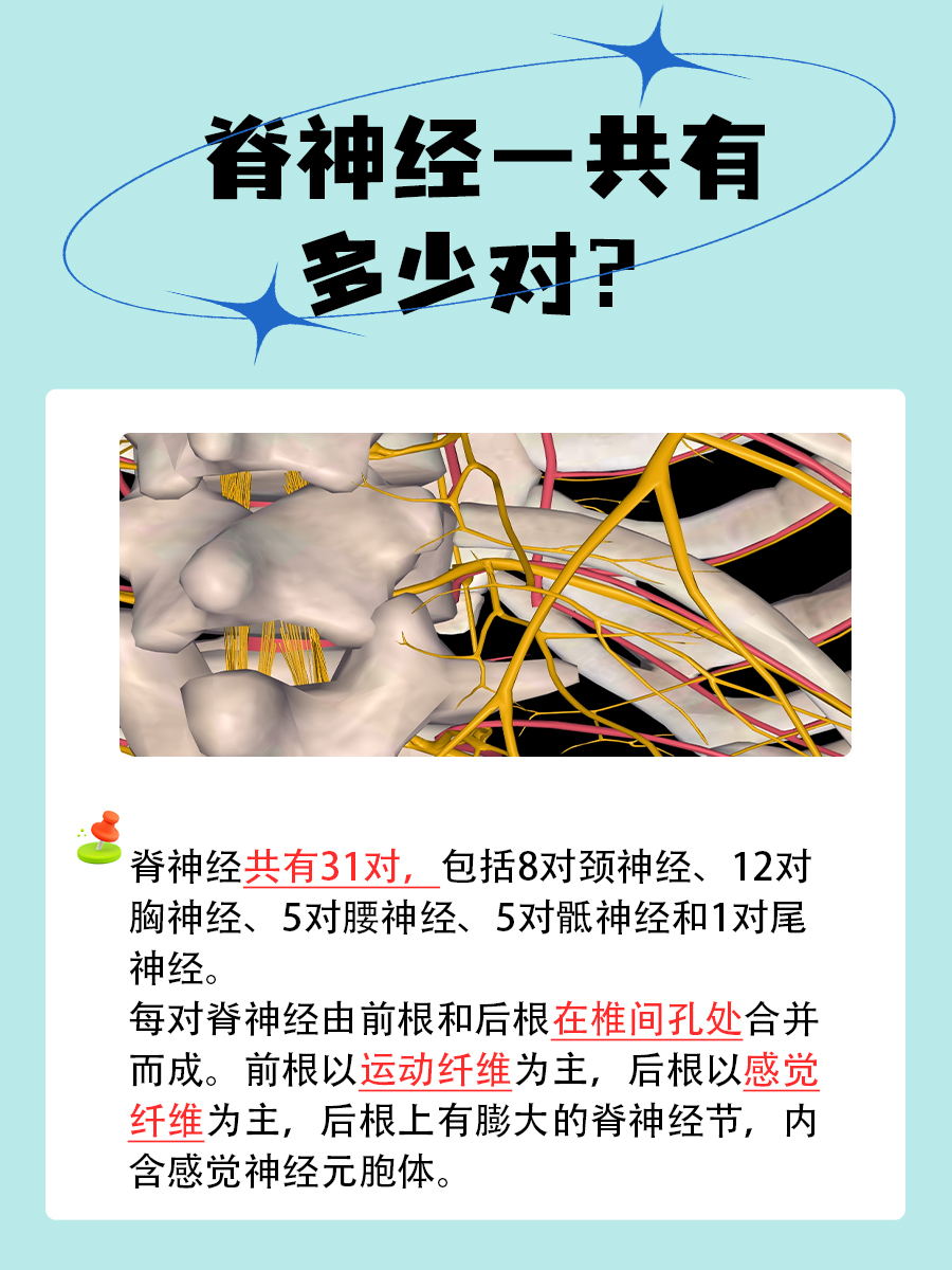 全球视角下的高清人体探索——gogo人体全球高清的胆识与挑战