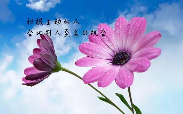 正能量网站www正能量免费直播正能量网站，免费直播，传递积极能量