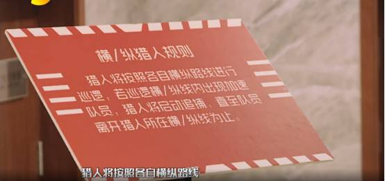 米加拉里的奇幻之旅，勇闯未知关卡-第3张图片