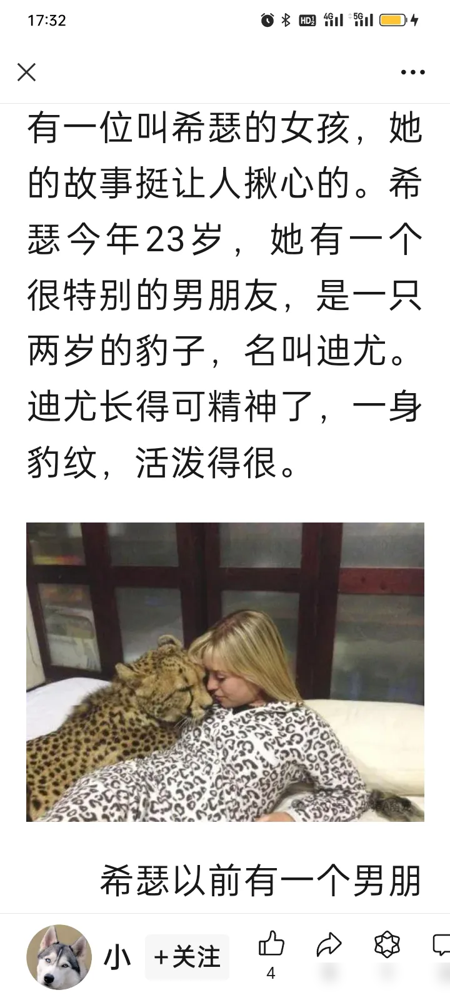 探讨人与动物关系之界限——以真人与狗裸交为例