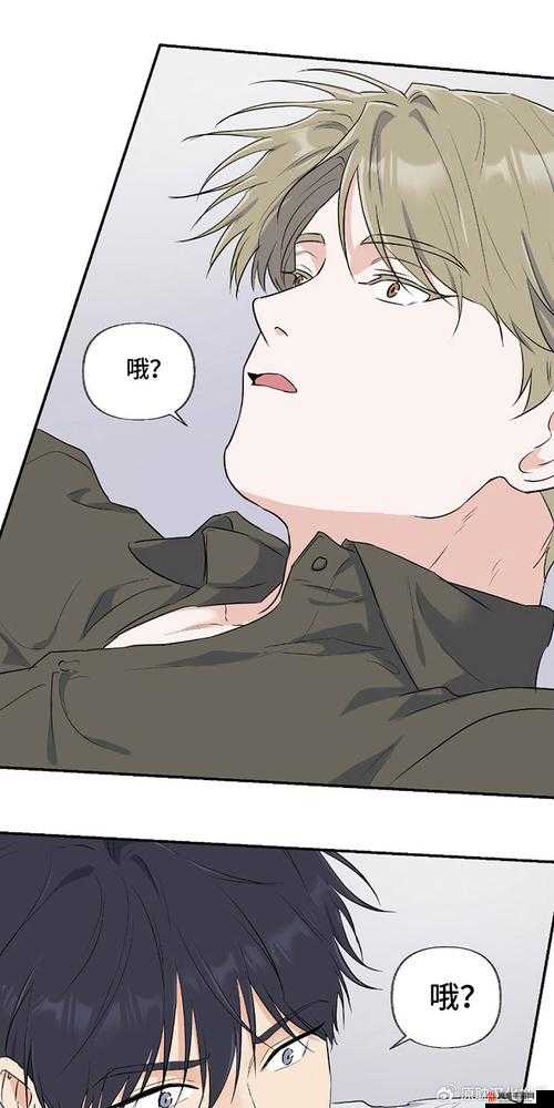 羞羞漫画免费阅读全集破解版在线羞羞漫画免费阅读全集破解版在线——探索与争议并存的网络漫画世界