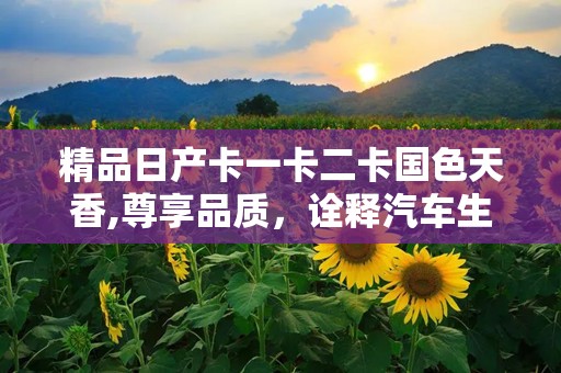 国产一卡二卡三卡四卡孕妇网站，信息与风险并存的网络现象-第1张图片