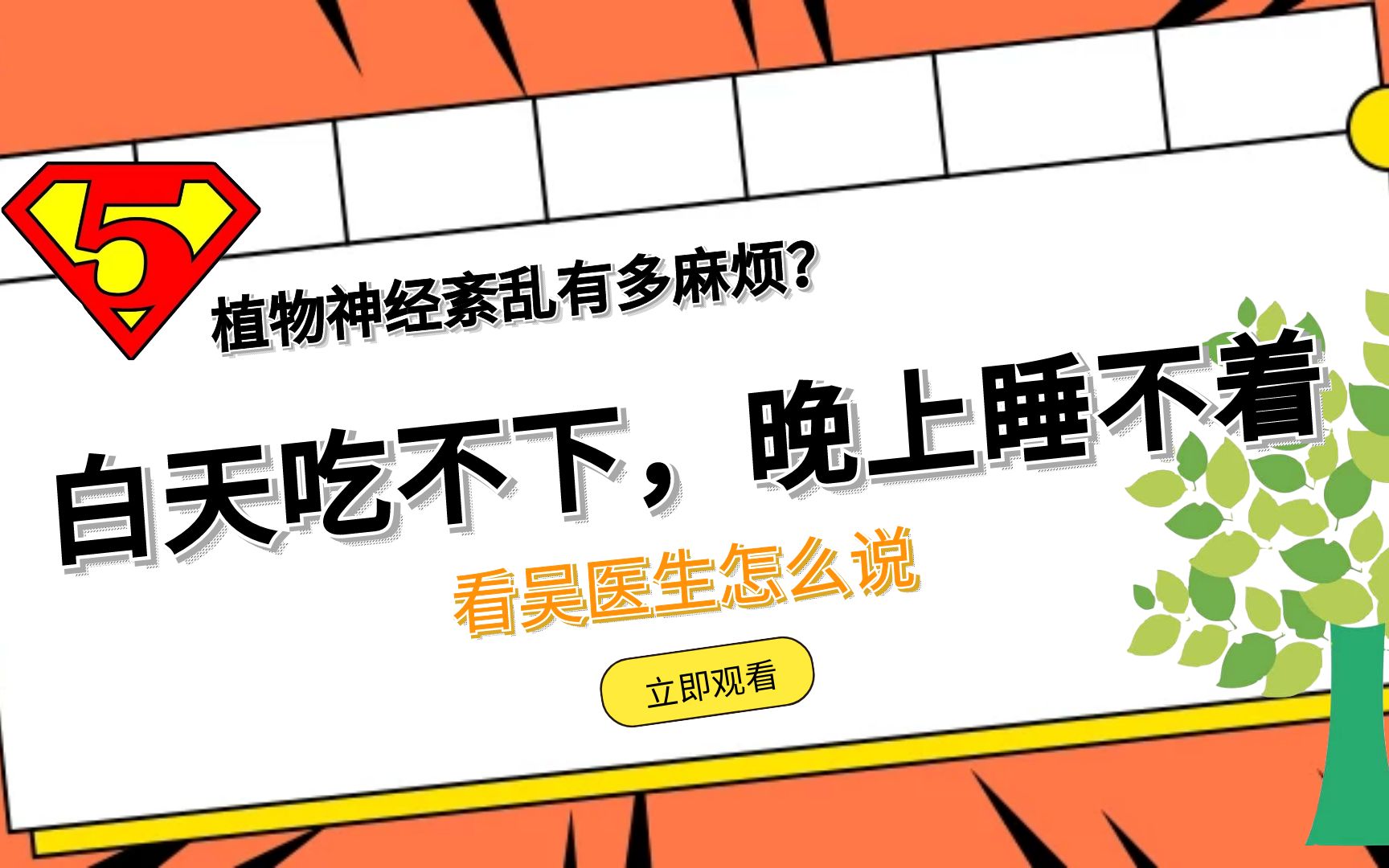 深夜的探索，晚上睡不着偷偷看B站大全