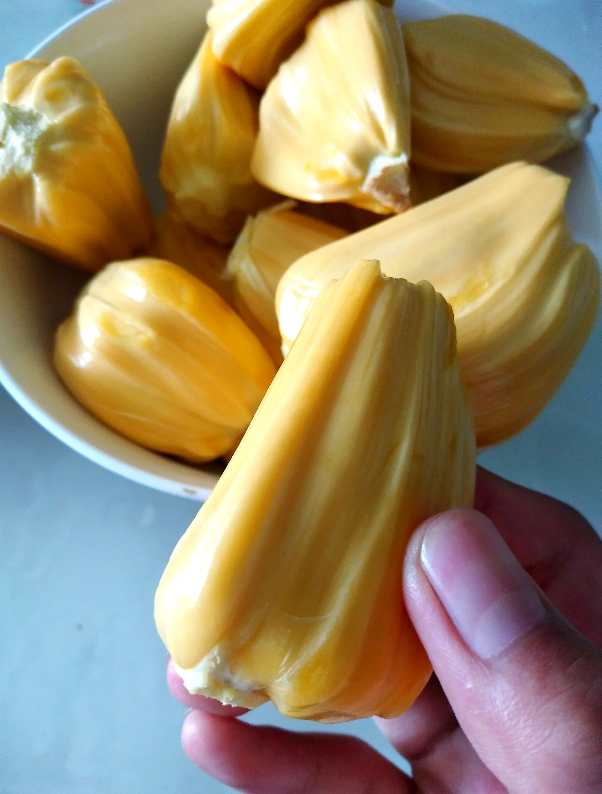菠萝菠萝蜜视频-免费观看3菠萝菠萝蜜视频，免费观看的乐趣与体验