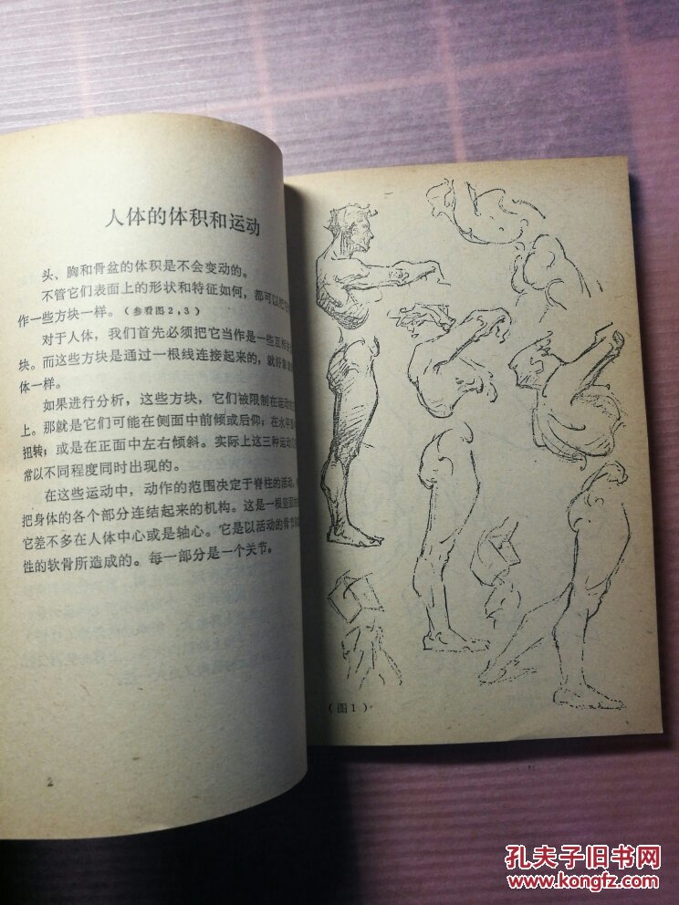 沟沟人体艺木艺欣赏沟沟人体艺术之美，艺术欣赏的独特视角-第3张图片