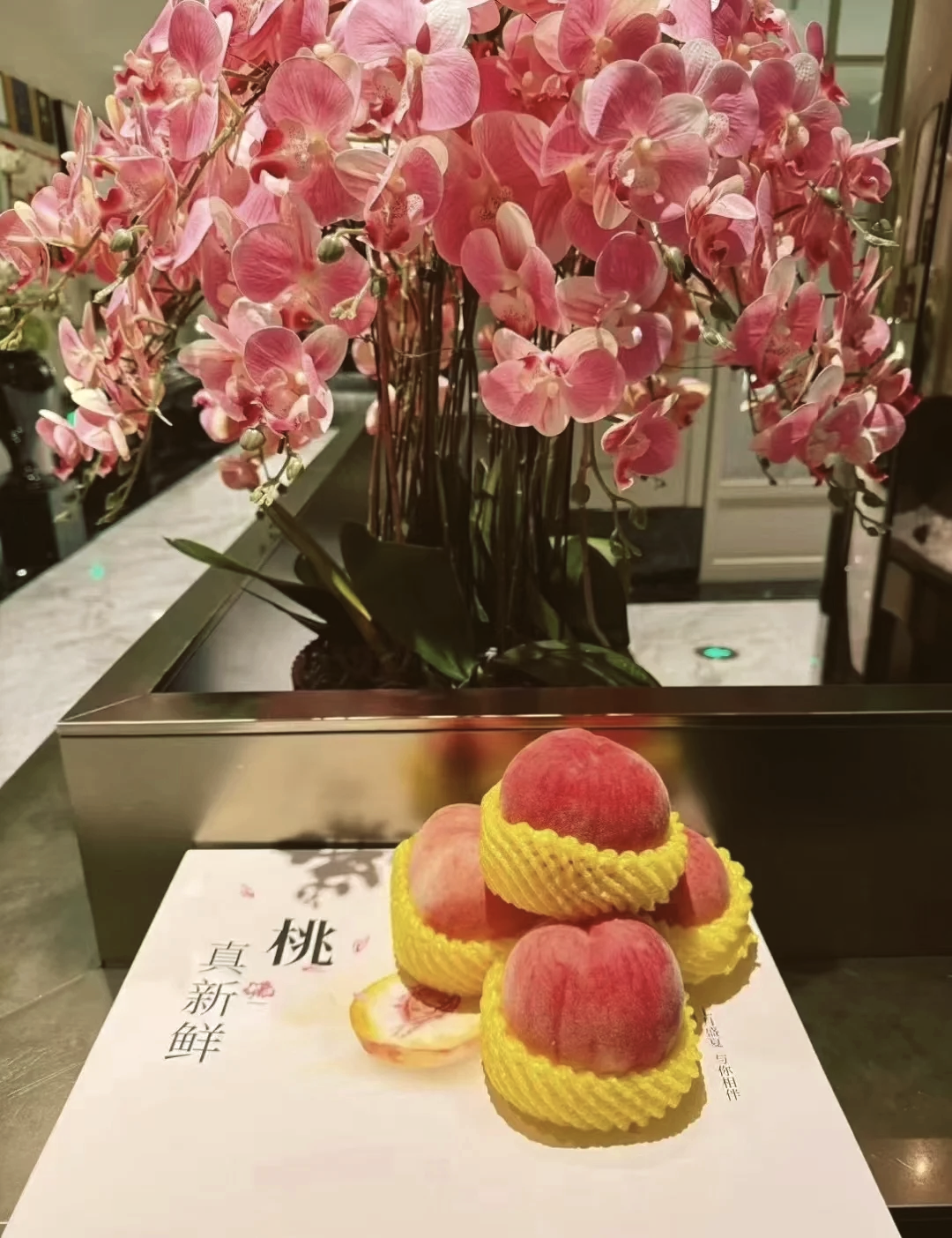 桃子视频，高清免费观看的绝佳选择-第1张图片